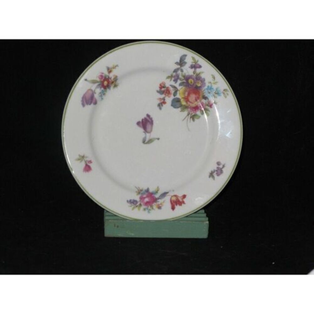 Syracuse Old Haarlem Salad Plate (s) Green Trim Flowers Harlem